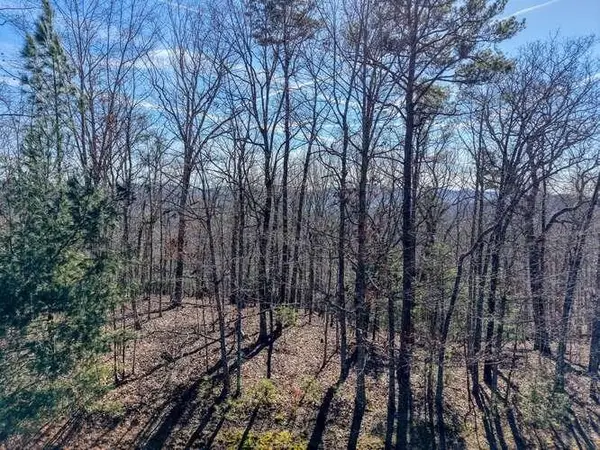 Lot 61 Thirteen Hundred, Blairsville, GA 30512