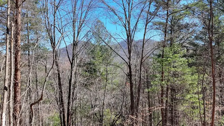 Lot 10 Firefly Ridge Road, Blairsville, GA 30512 - #2
