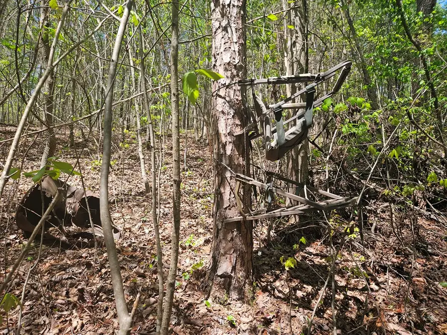 0 Maple Grove Church Road, Chatsworth, GA 30705 - #2