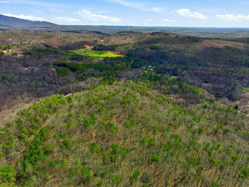 64 Bull Gap Road, Talking Rock, GA 30175 - #1