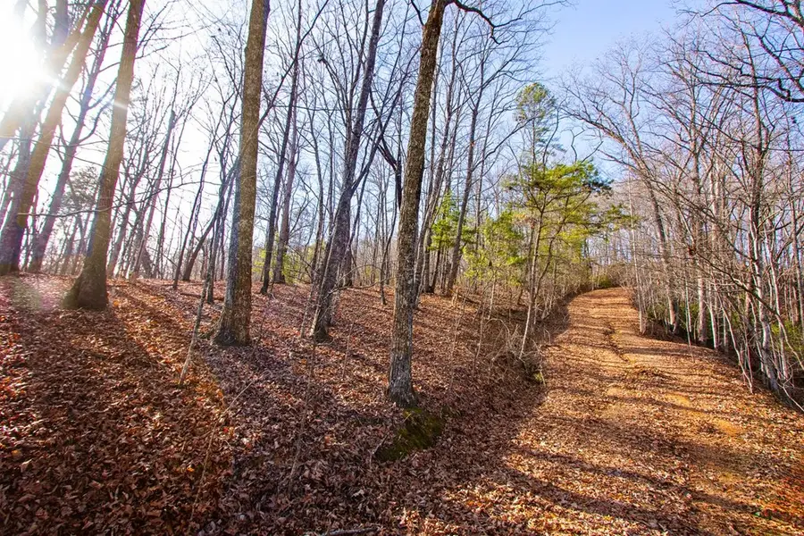 TBD W Hills Drive, Murphy, NC 28906 - #2