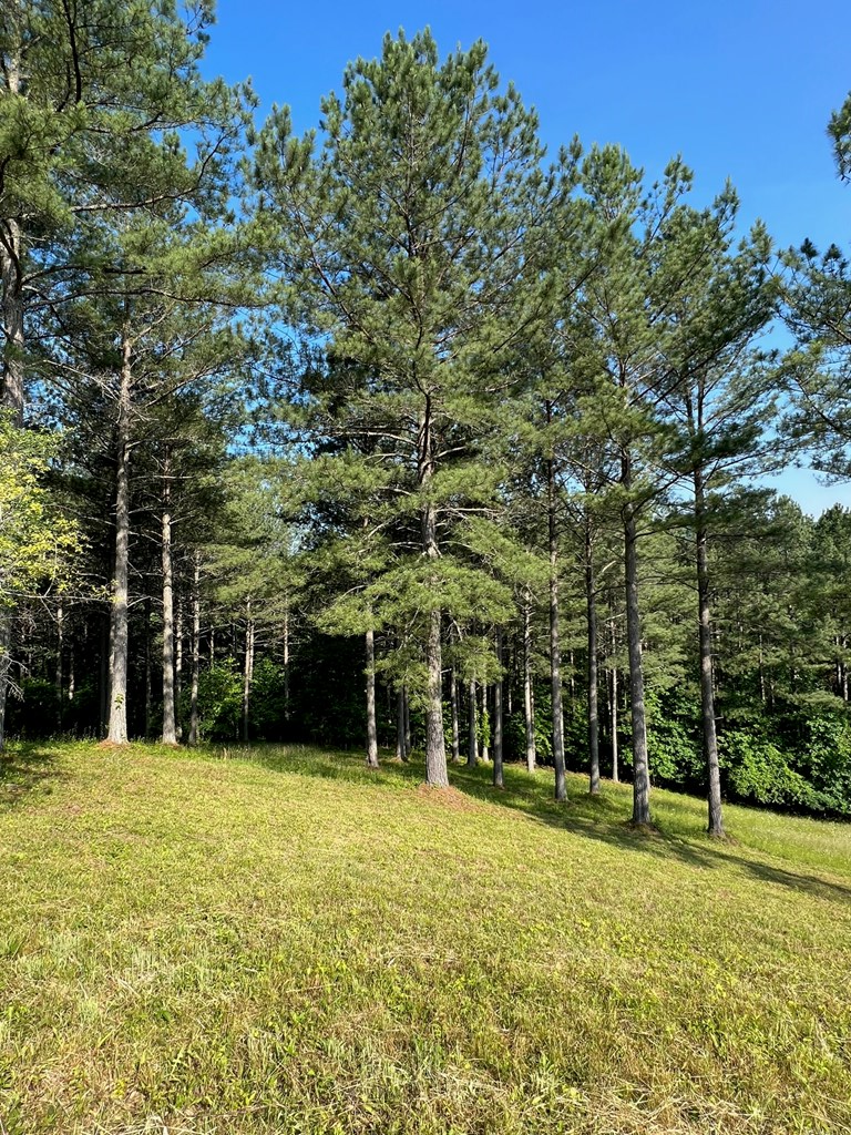 Lot 54 Pinehurst Road, Blairsville, GA 30512 - #3
