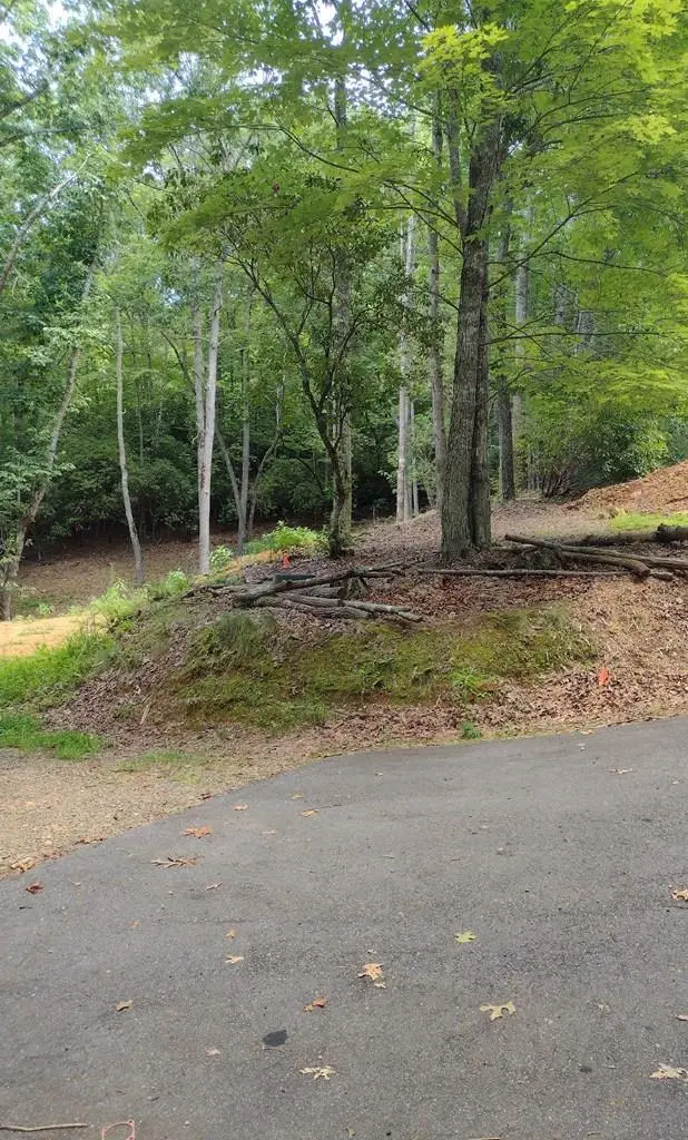 0 Radiant Cove, Brasstown, NC 28902 - #2