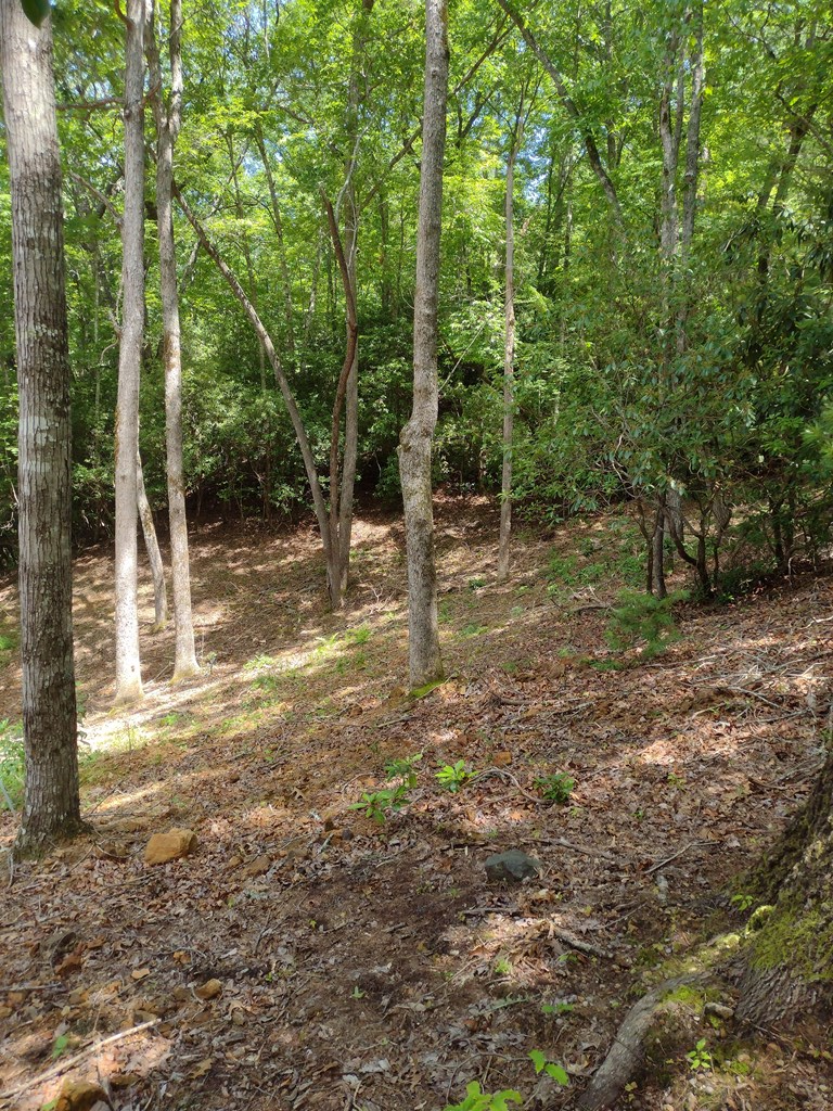 0 Radiant Cove, Brasstown, NC 28902 - #3