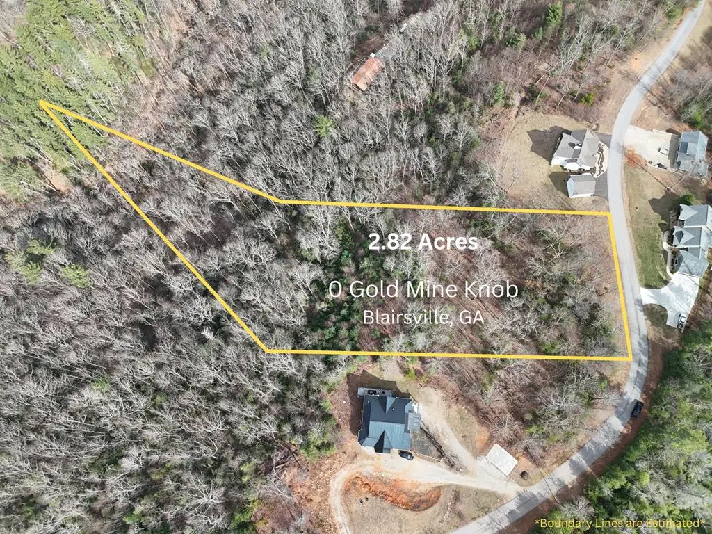 0 Gold Mine Knob, Blairsville, GA 30512 - #1