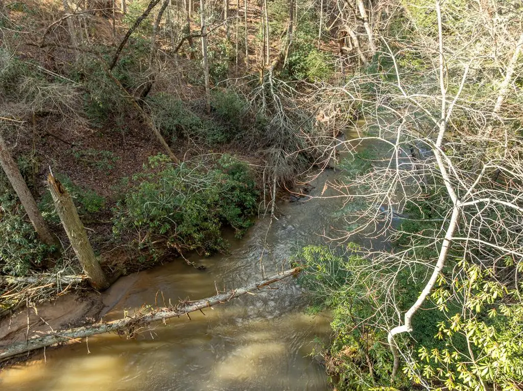 35LT Mill Creek Trail, Cleveland, GA 30528 - #1