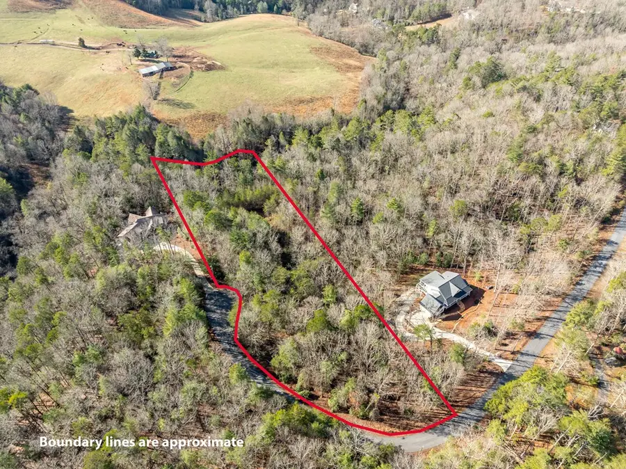 35LT Mill Creek Trail, Cleveland, GA 30528 - #3