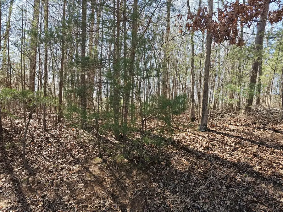 LOT 39 Farmers Circle, Mineral Bluff, GA 30559 - #2