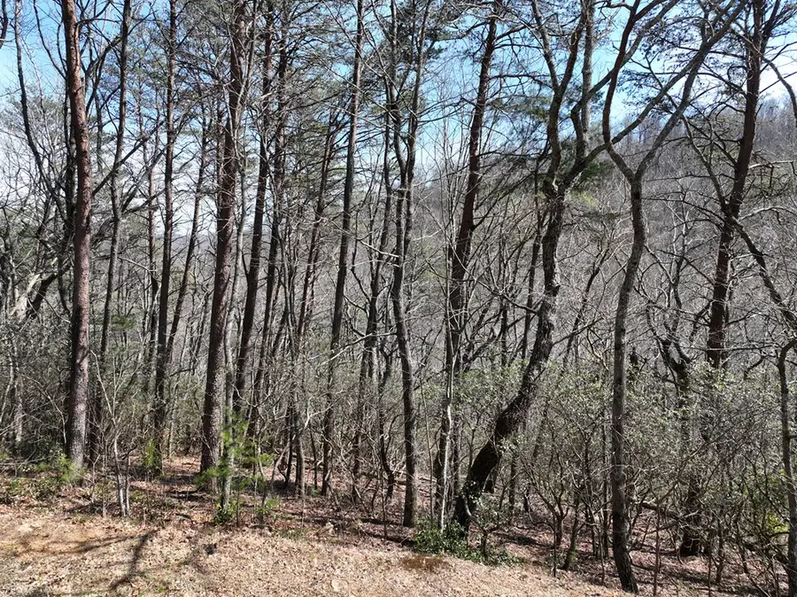 200 Stone Cliff Drive, Ellijay, GA 30536 - #3