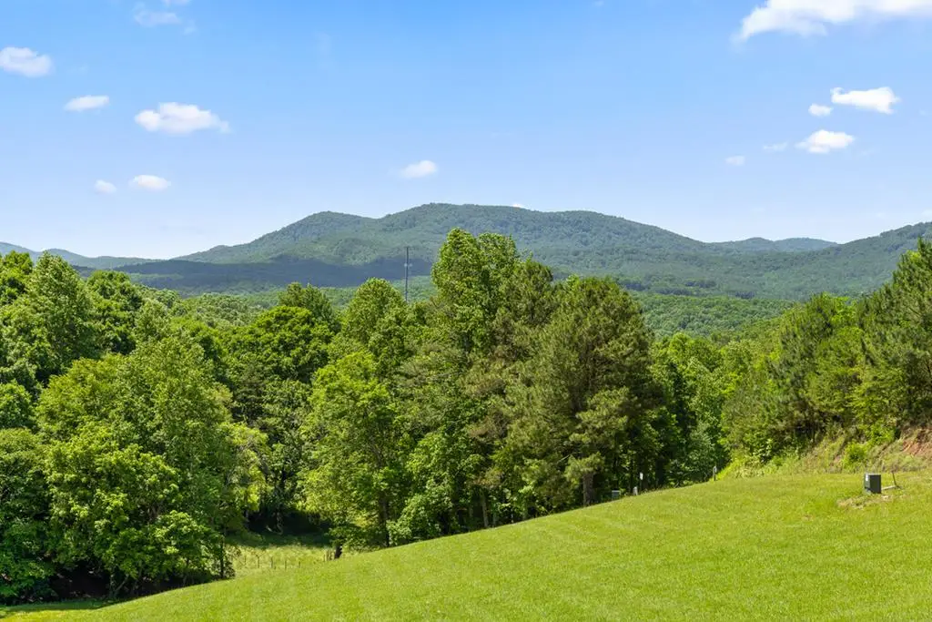 Lot 12 Squirrel Hunt Road, Morganton, GA 30560 - #1