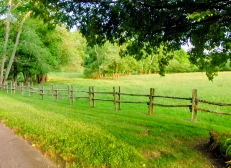 279 Conley Creek Circle, Blairsville, GA 30512 - #2