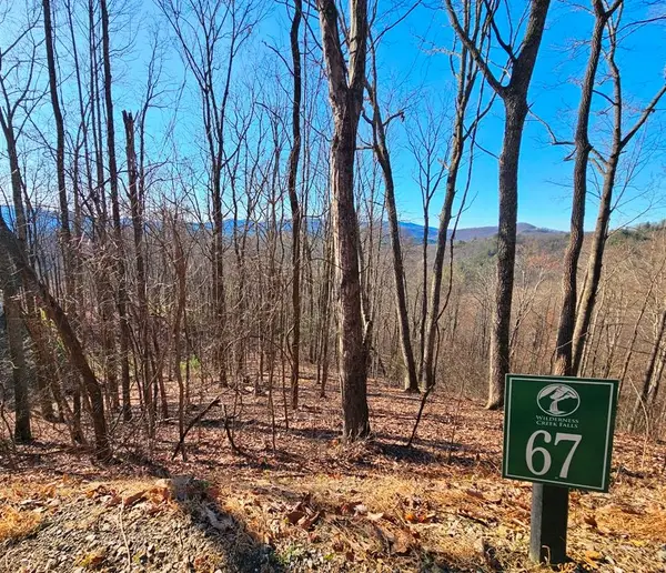 Lot 67 Wilderness Creek Way, Hothouse, NC 28906