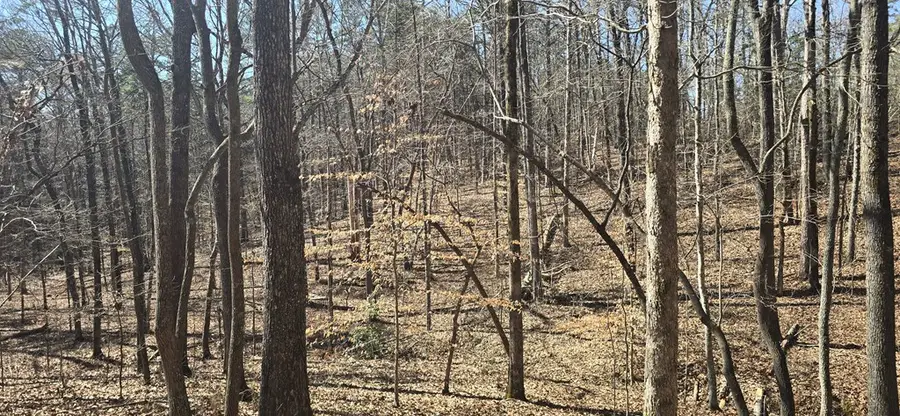 Tract 2 Friendship Trail, Talking Rock, GA 30175 - #2