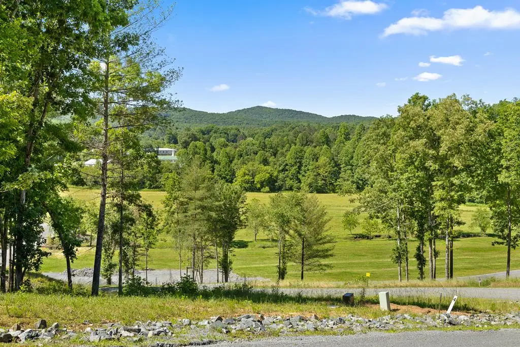 Lot 4 Ridge Drive, Morganton, GA 30560 - #1