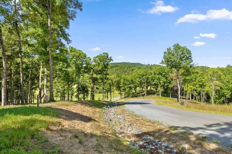 Lot 4 Ridge Drive, Morganton, GA 30560 - #2