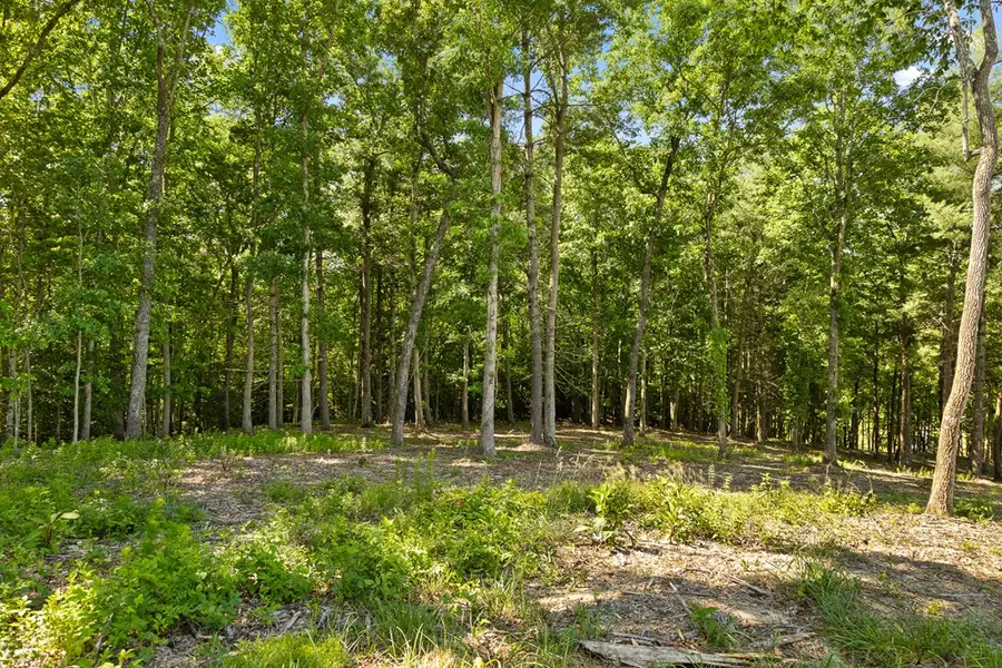 Lot 4 Ridge Drive, Morganton, GA 30560 - #3