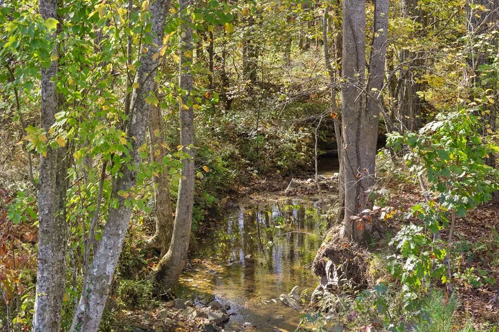 Lot 334 Twisted Oak Road, Talking Rock, GA 30175 - #1