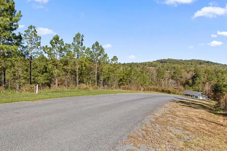 Lot 334 Twisted Oak Road, Talking Rock, GA 30175 - #3