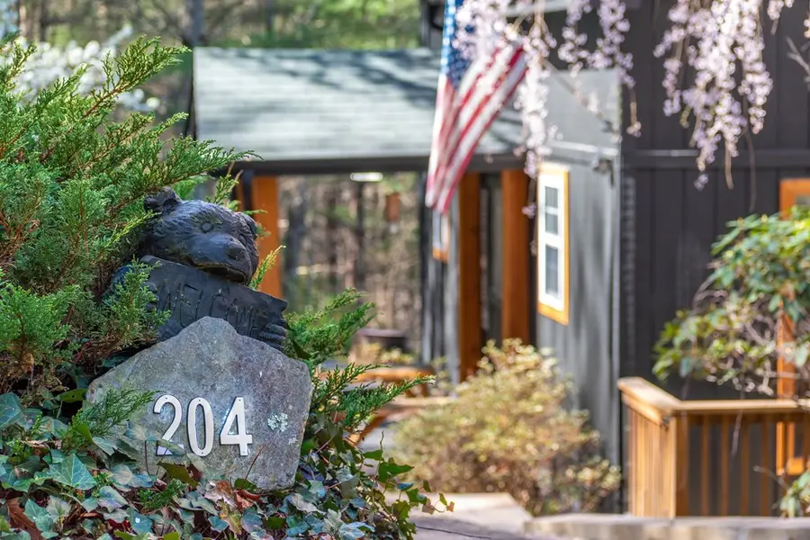 204 Fortenberry Creek Road, Blairsville, GA 30512 - #2