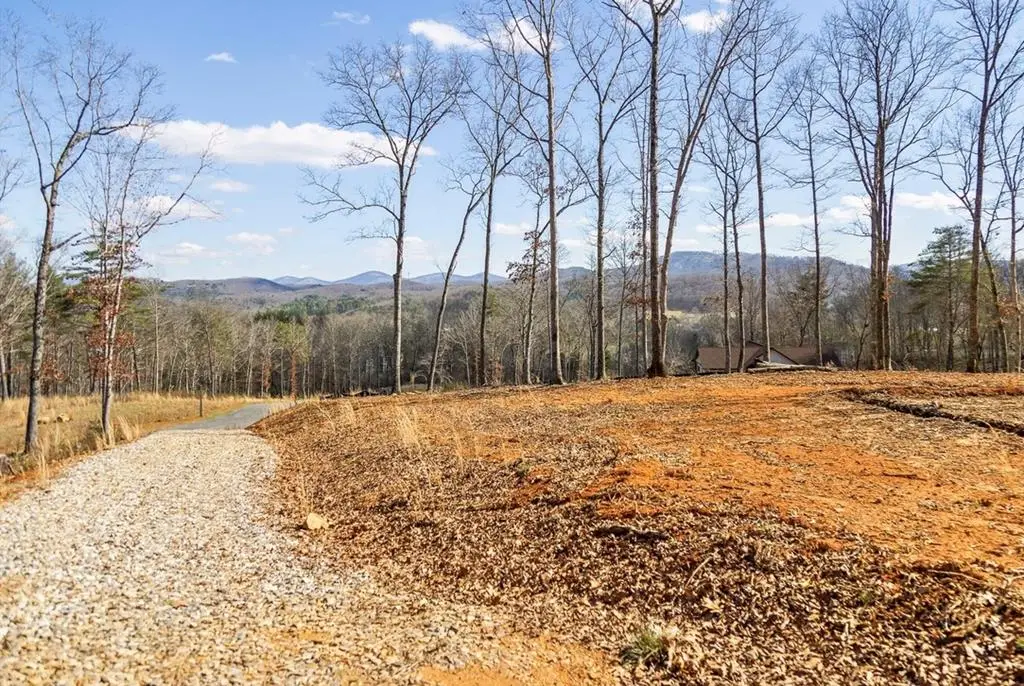 Lot 85 Split Creek Road, Morganton, GA 30560 - #1