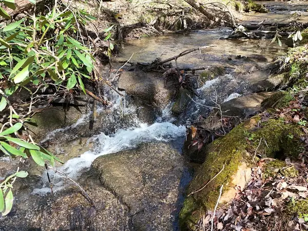 Lot 44B Synacia Drive, Mineral Bluff, GA 30559