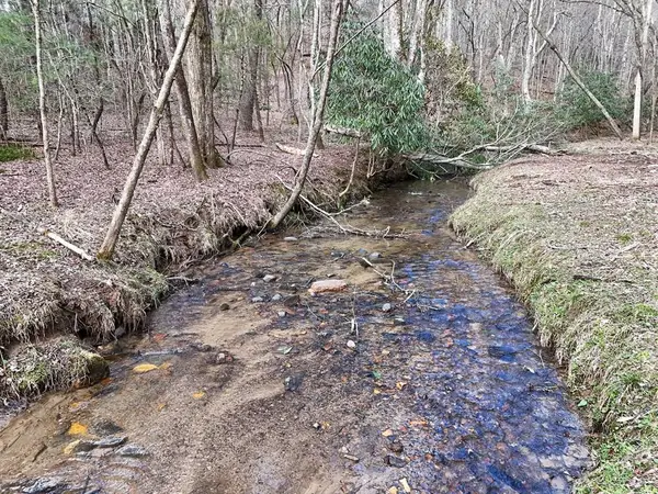 Lot 45B Synacia Drive, Mineral Bluff, GA 30559