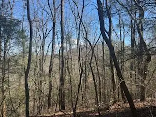 Lot 14 Butler Creek Road, Cherry Log, GA 30552 - #1