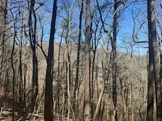 Lot 14 Butler Creek Road, Cherry Log, GA 30552 - #3