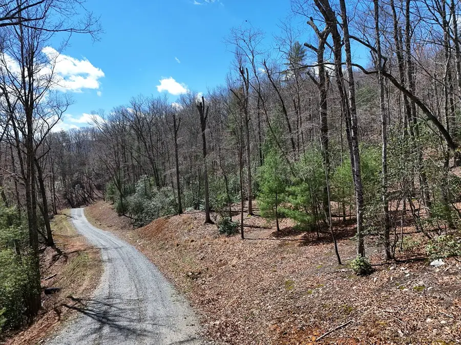 Lot 9 Native Trail, Blue Ridge, GA 30513 - #3
