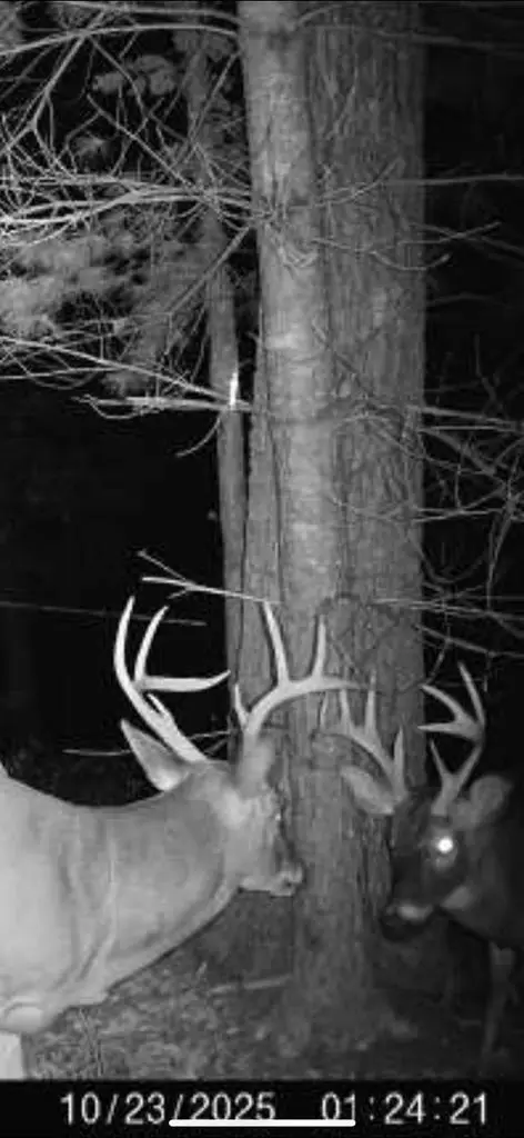 00 Culberson Ranch, Murphy, NC 28906 - #1