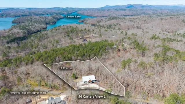 56 Carters View Lane, Ellijay, GA 30540 - #2