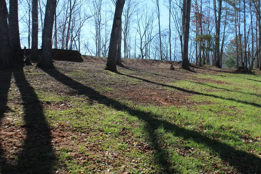 1017 Laurel Branch Road, Hayesville, NC 28904 - #2