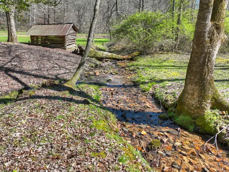 3693 Boardtown Road, Ellijay, GA 30540 - #2