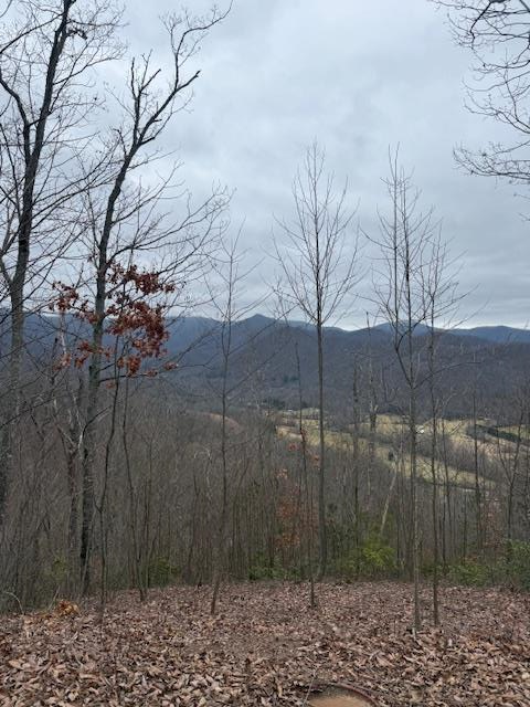 00 Ethan Ridge, Hayesville, NC 28909 - #1