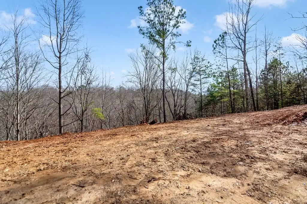 30 William Way, Ellijay, GA 30540 - #1