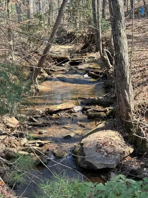 Lot 339 Timber Creek Trail, Talking Rock, GA 30175 - #1