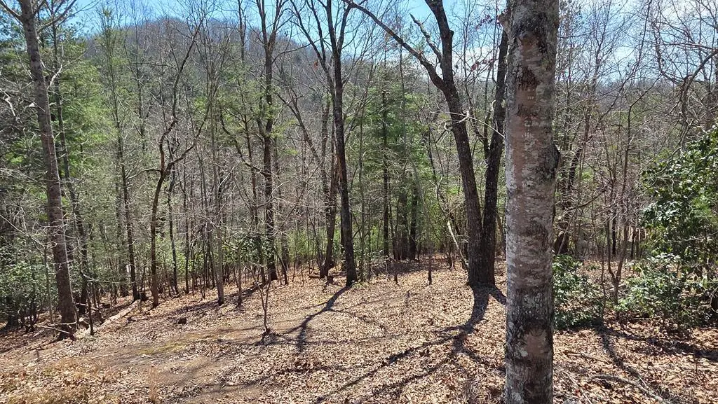 Lot 24 Pine Log Circle, Warne, NC 28909 - #1
