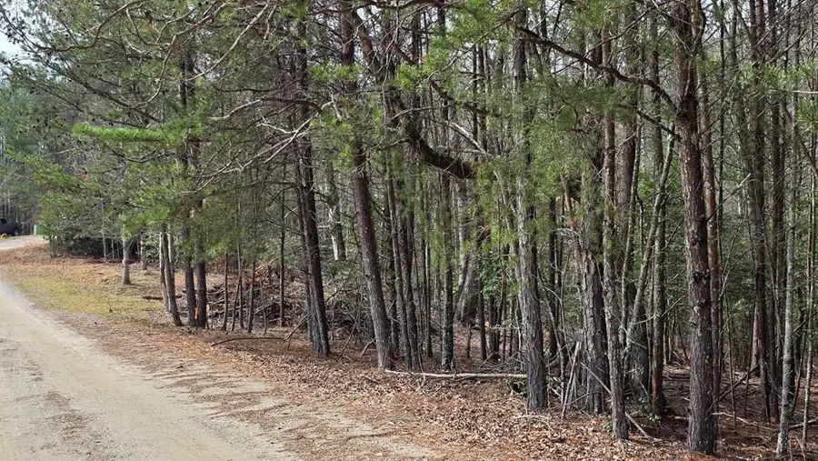 Lot 24 Pine Log Circle, Warne, NC 28909 - #2