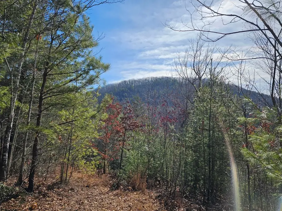 51 Kudzu Creek Trail, Murphy, NC 28906 - #2