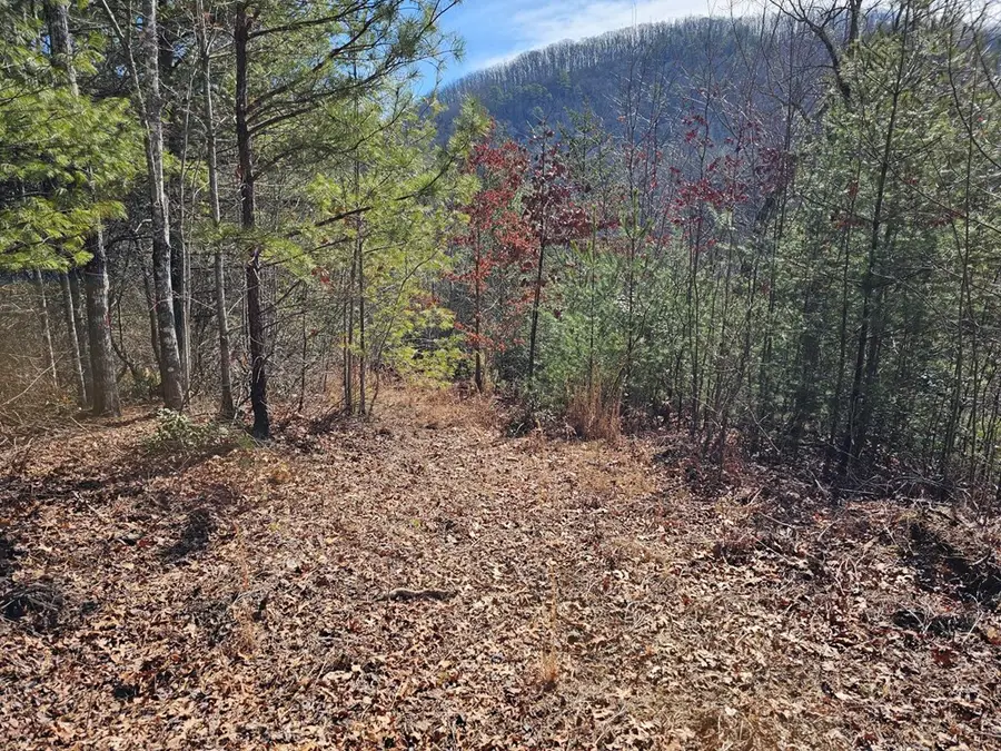 51 Kudzu Creek Trail, Murphy, NC 28906 - #3