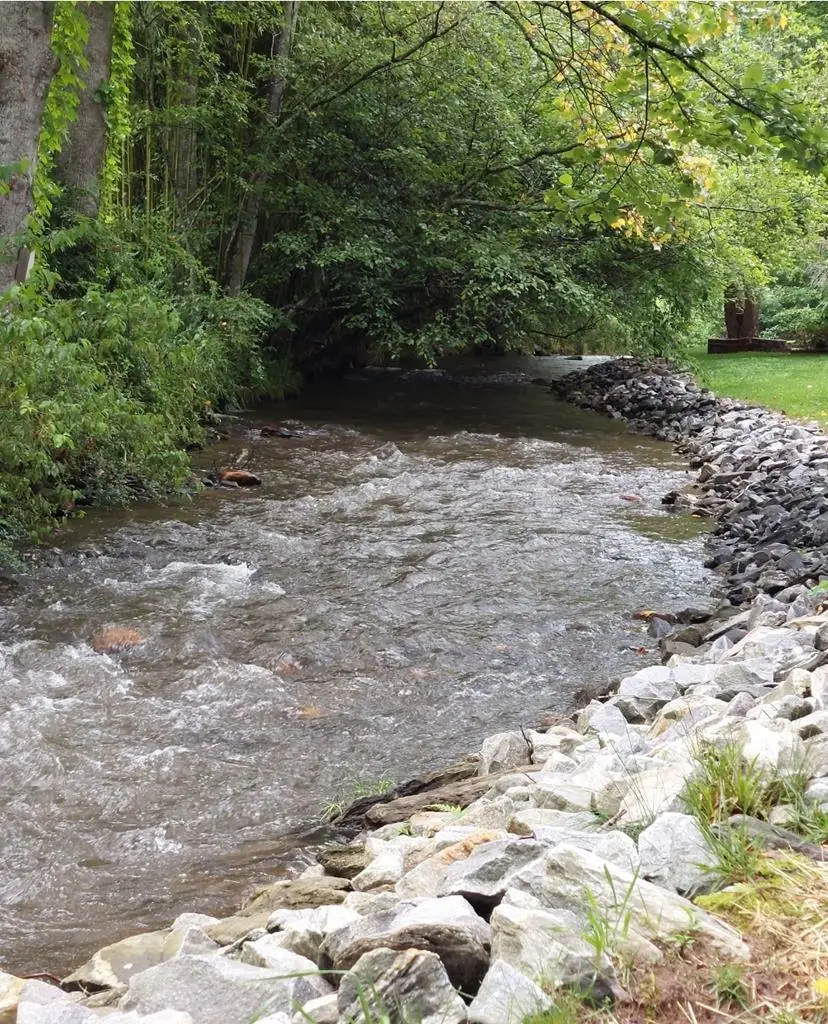 201 Choestoe Valley Circle, Blairsville, GA 30512 - #1