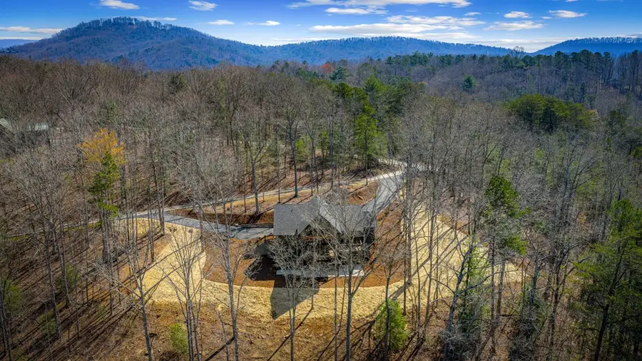 698 Oak Ridge Way, Ellijay, GA 30536 - #2