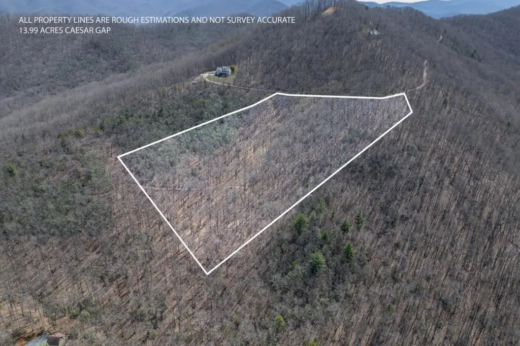 13.99 AC Caesar Gap Road, Hiawassee, GA 30546 - #1