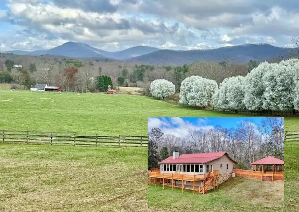 205 Oak Ridge Road, Morganton, GA 30560 - #1
