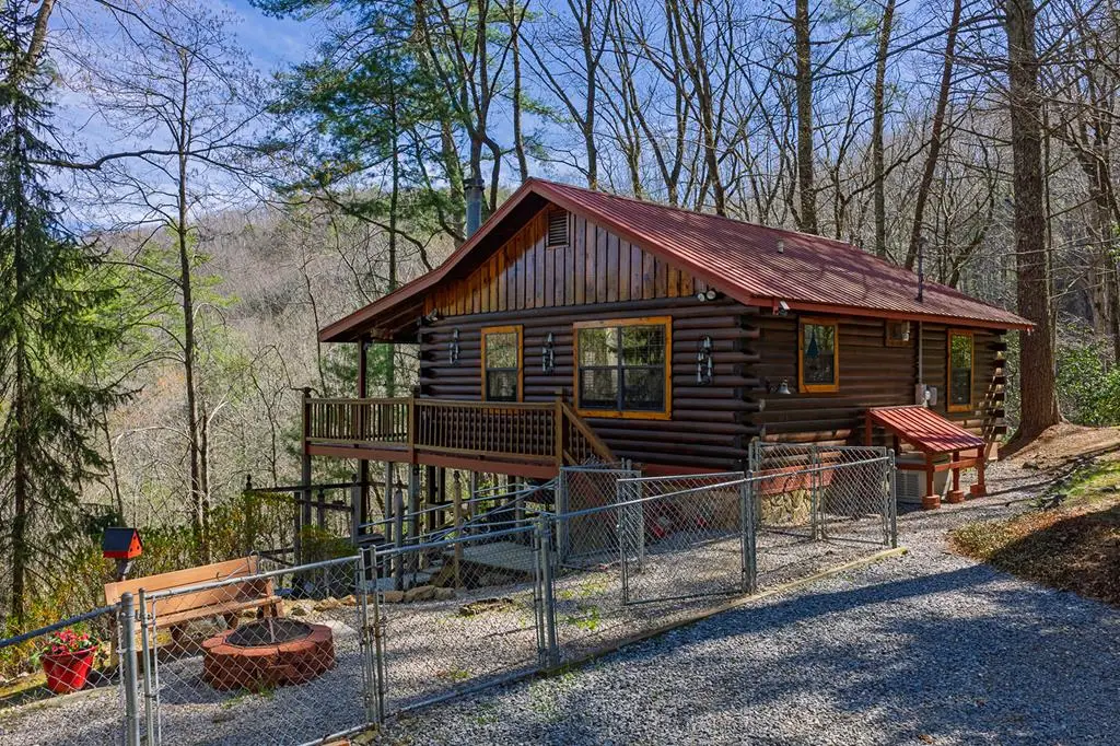 216 Pig Trail, Cherry Log, GA 30522 - #1