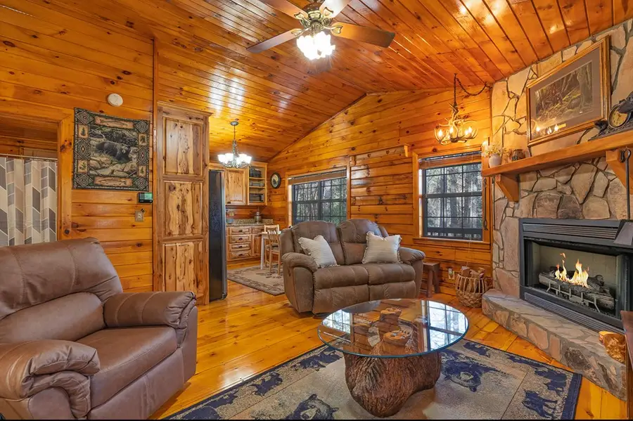 216 Pig Trail, Cherry Log, GA 30522 - #3