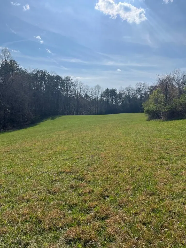 142 Arrowhead Trail, Hayesville, NC 28904 - #2