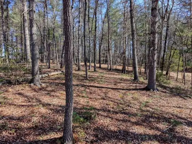 Lot 11 Fiddlers Cove, Blairsville, GA 30512 - #1