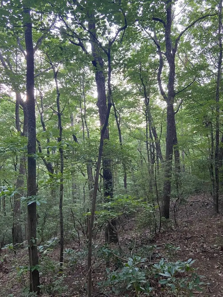Lot 58 Cherokee Circle, Ellijay, GA 30536 - #3