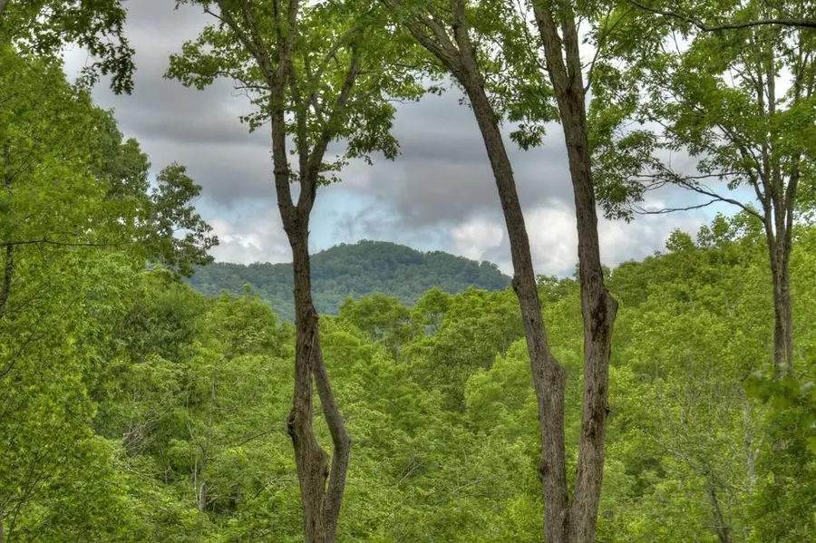 244 Wilderness Way, Ellijay, GA 30536 - #2